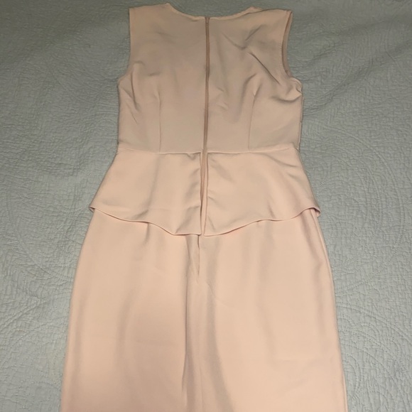 Gorgeous Pale Blush-Pink Zip Back Peplum Dress - Picture 5 of 7
